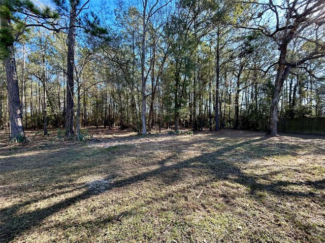 16327 Lone Star Ranch Drive, Conroe, TX 77302