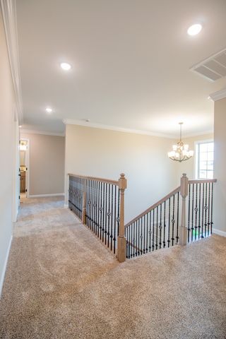 359 Timber Springs, Clarksville, TN 37040