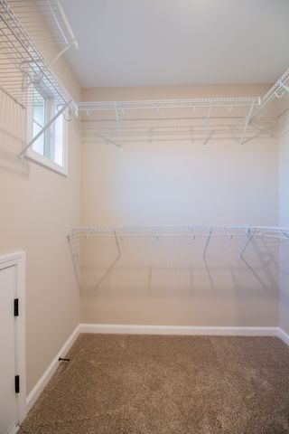 359 Timber Springs, Clarksville, TN 37040