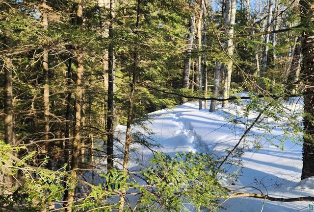 36050 County Hwy J, Bayfield, WI 54814