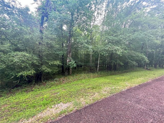 74 S Royale Greens Drive, Coldspring, TX 77331