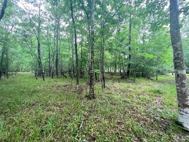 74 S Royale Greens Drive, Coldspring, TX 77331