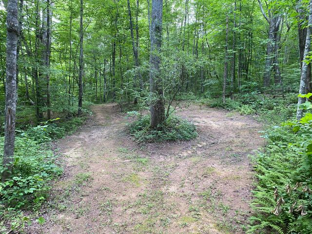 75 Walnut Road, Lily, KY 40740