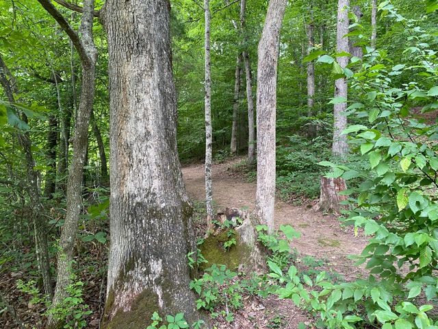 75 Walnut Road, Lily, KY 40740