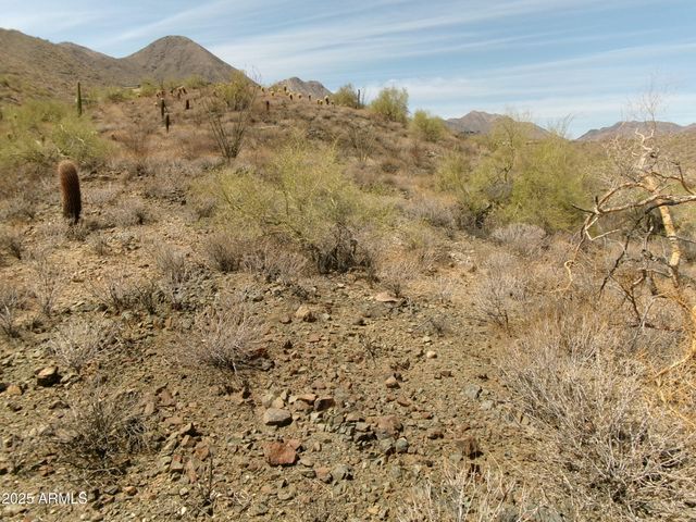 15736 N MOUNTAIN Parkway 225, Fountain Hills, AZ 85268