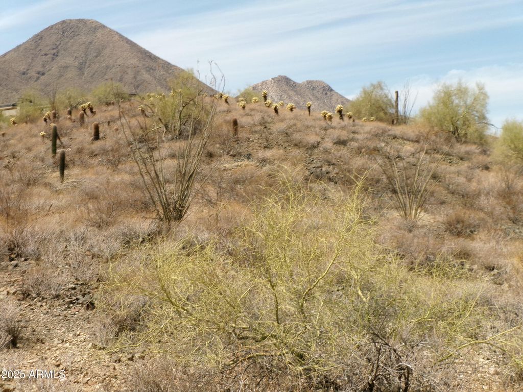15736 N MOUNTAIN Parkway 225, Fountain Hills, AZ 85268 — photo 5