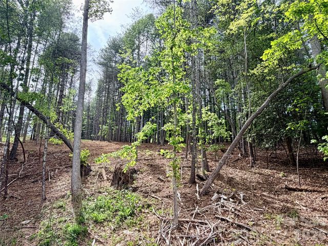 4981 Camellia Drive 228, Morganton, NC 28655