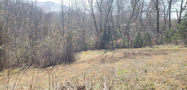 269 Mountain Mist Lane, Del Rio, TN 37727