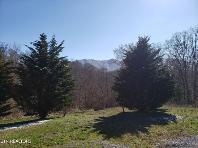 269 Mountain Mist Lane, Del Rio, TN 37727