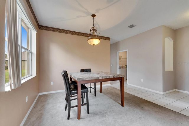 10328 CELTIC ASH DRIVE, Ruskin, FL 33573