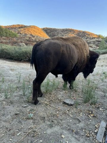 2411 Menlo Avenue, San Jacinto, CA 92583