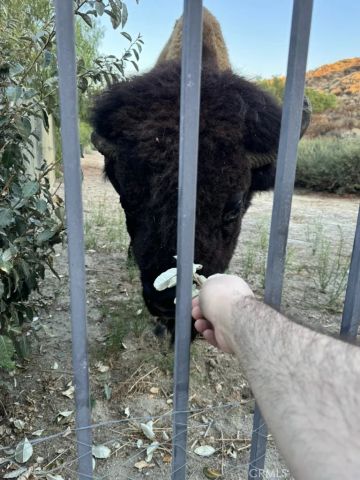 2411 Menlo Avenue, San Jacinto, CA 92583