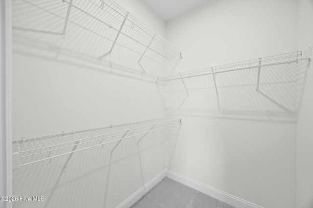 4024 Smoked Maple Drive 58, Leland, NC 28451