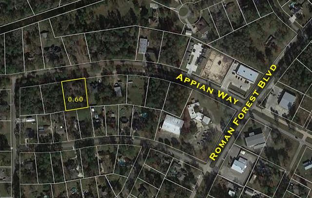 2210 Appian Way, New Caney, TX 77357