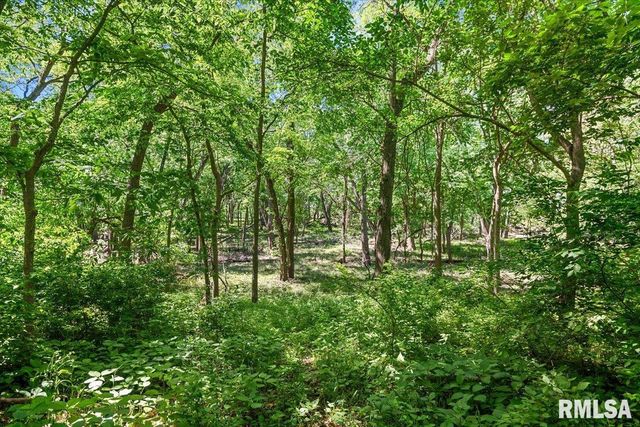 47 WOODLAND Trail, Rochester, IL 62563