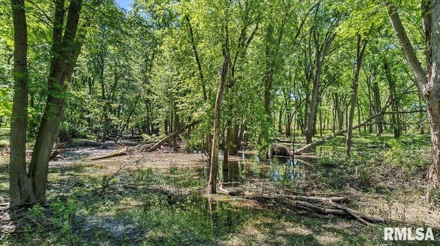 47 WOODLAND Trail, Rochester, IL 62563