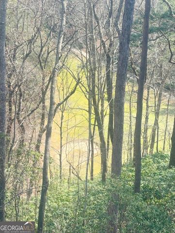 364 Rosen Strasse, Helen, GA 30545