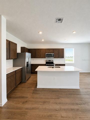 31170 PAPER BIRCH STREET, Wesley Chapel, FL 33545