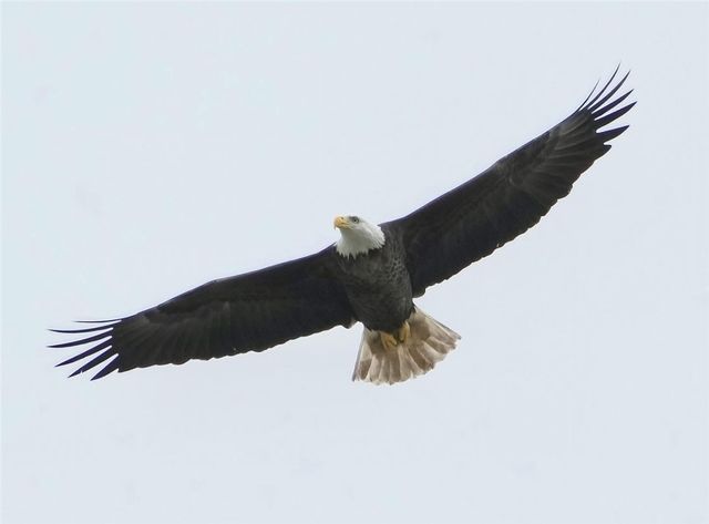 29 Standing Garden Lane, Folkston, GA 31537