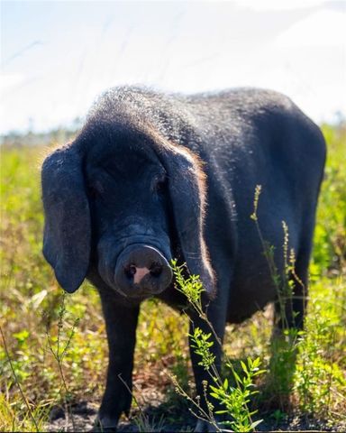 29 Standing Garden Lane, Folkston, GA 31537