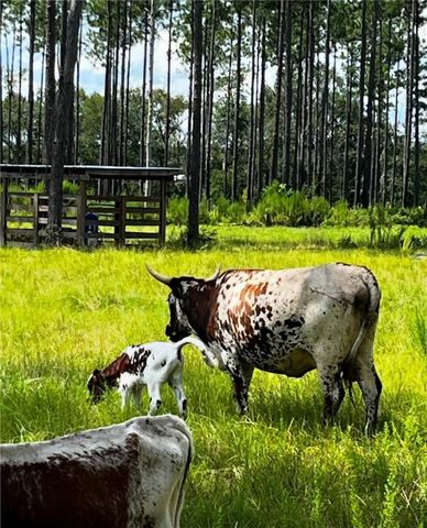 29 Standing Garden Lane, Folkston, GA 31537