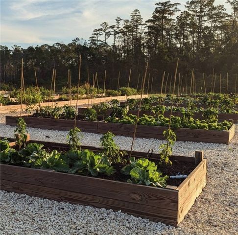 29 Standing Garden Lane, Folkston, GA 31537