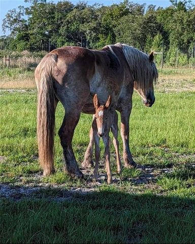 29 Standing Garden Lane, Folkston, GA 31537