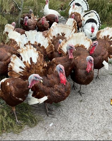 29 Standing Garden Lane, Folkston, GA 31537