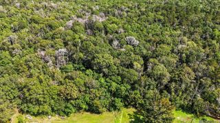 13-A Carmen Dr, Denham Springs, LA 70706