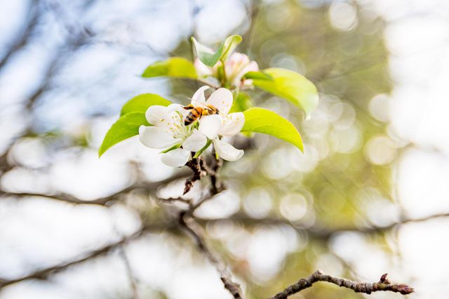 181 Seatrain Drive, Delaware, OH 43015