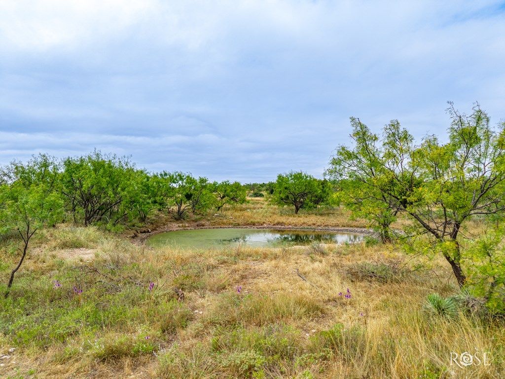Image 36 of property listing at 3241 Hwy 87, Eden, TX 76837