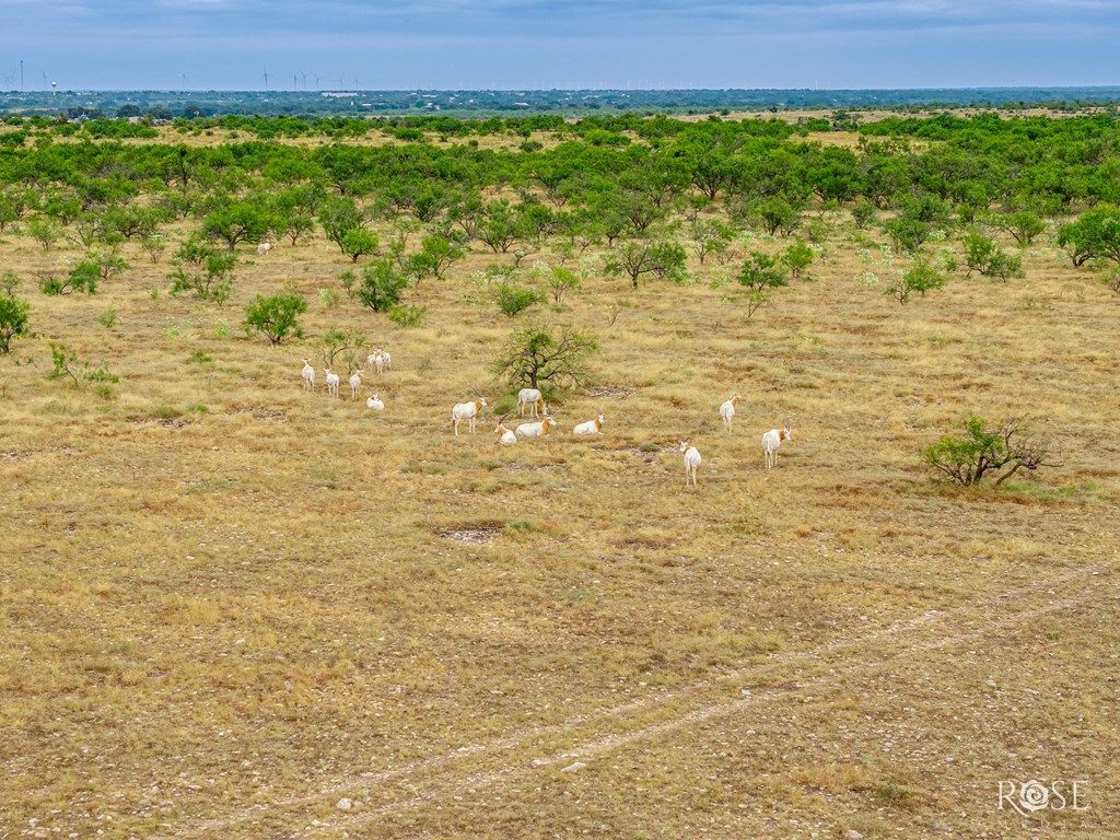 Image 65 of property listing at 3241 Hwy 87, Eden, TX 76837