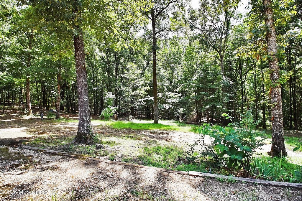 4384 Susan Lane, Hernando, MS 38632 — photo 4