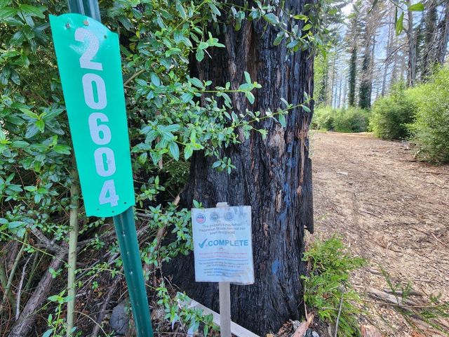 20604 Little Basin Road, Boulder Creek, CA 95006
