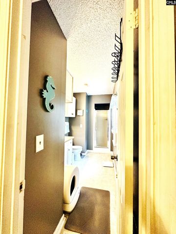 245 Teesdale Court, Lexington, SC 29072
