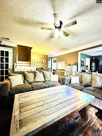 245 Teesdale Court, Lexington, SC 29072
