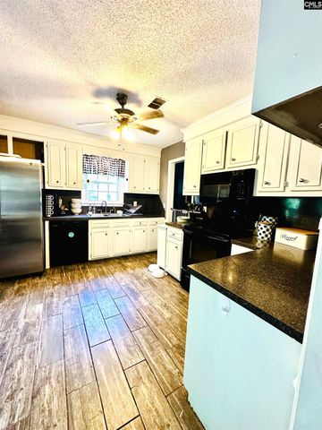 245 Teesdale Court, Lexington, SC 29072