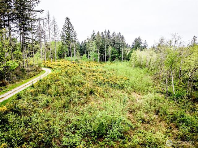 2 Lot 156th Avenue SW, Lakebay, WA 98349