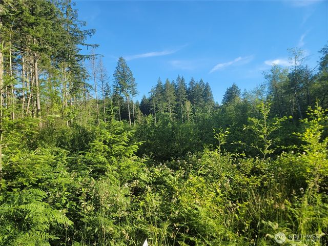 2 Lot 156th Avenue SW, Lakebay, WA 98349