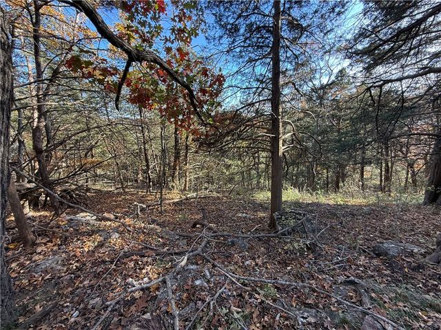 TBD Twin Peak Drive, Holiday Island, AR 72631