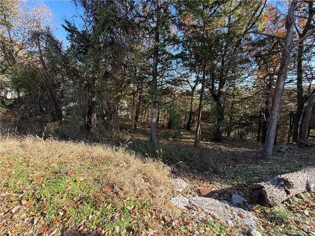 TBD Twin Peak Drive, Holiday Island, AR 72631