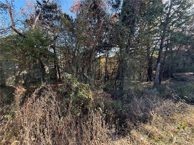 TBD Twin Peak Drive, Holiday Island, AR 72631