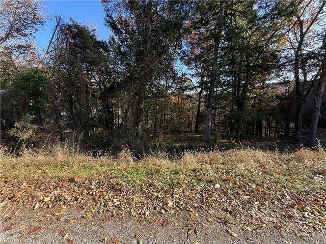 TBD Twin Peak Drive, Holiday Island, AR 72631