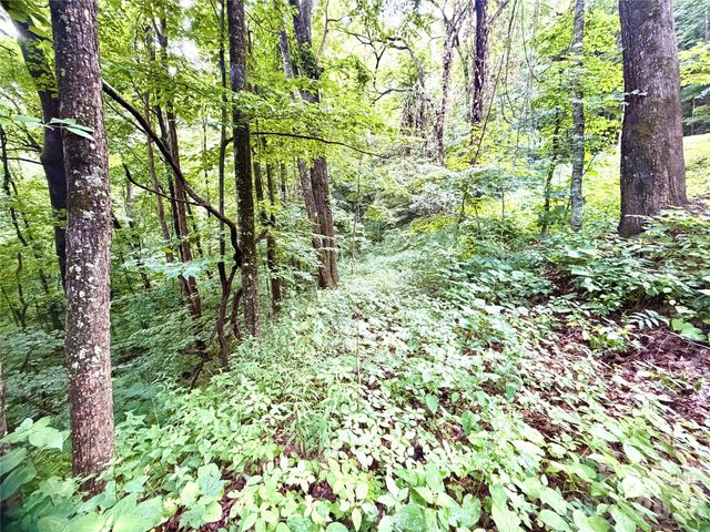 505 Mountainside Drive 27, 28, 29, 30, 31, 32, Waynesville, NC 28786