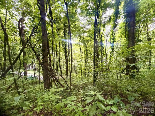 505 Mountainside Drive 27, 28, 29, 30, 31, 32, Waynesville, NC 28786