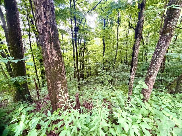 505 Mountainside Drive 27, 28, 29, 30, 31, 32, Waynesville, NC 28786