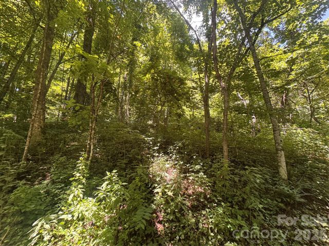 505 Mountainside Drive 27, 28, 29, 30, 31, 32, Waynesville, NC 28786