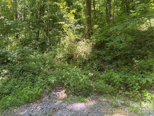 505 Mountainside Drive 27, 28, 29, 30, 31, 32, Waynesville, NC 28786