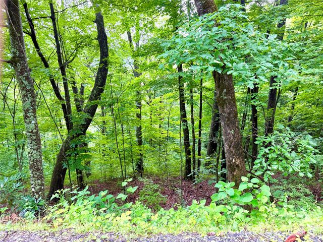 505 Mountainside Drive 27, 28, 29, 30, 31, 32, Waynesville, NC 28786