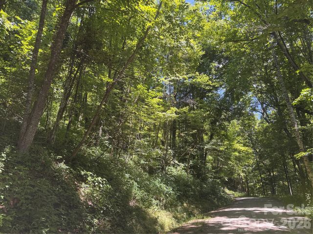 505 Mountainside Drive 27, 28, 29, 30, 31, 32, Waynesville, NC 28786